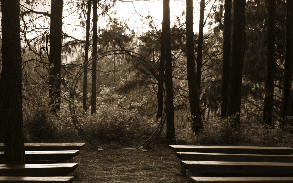 Holzkreis im Wald als Versammlungsort — New Healing Festival