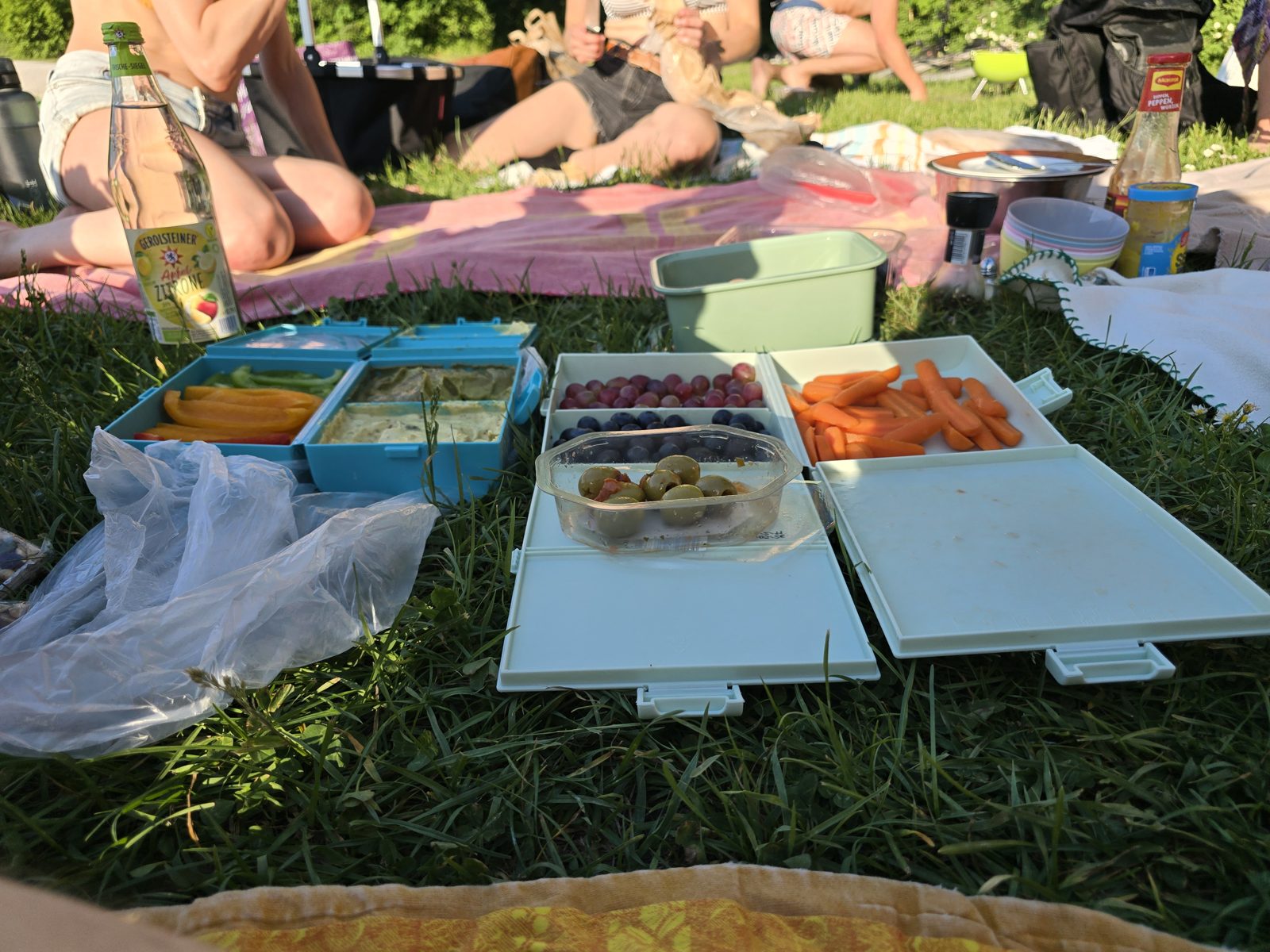 Mitgebrachtes Essen zum Teilen auf Picknickdecken im Gras am Kuhsee