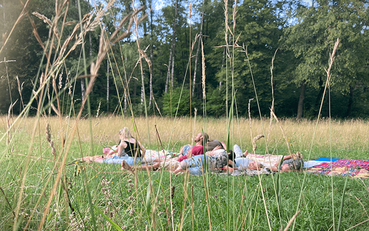 Menschen entspannen auf Decken in einer Sommerwiese am Waldrand — Cuschel-Sommerfest